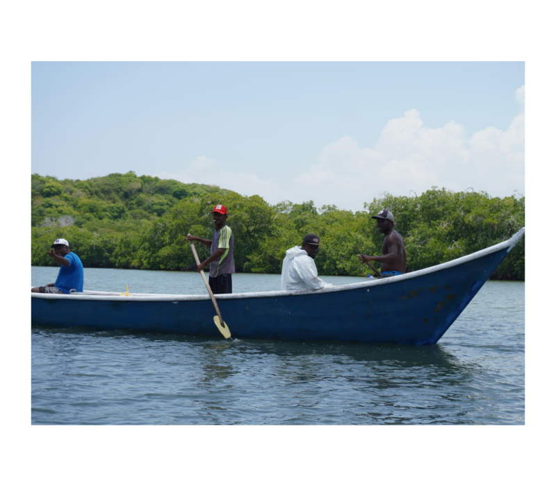 Imagen Nodo Caribe Imagen Nodo Caribe